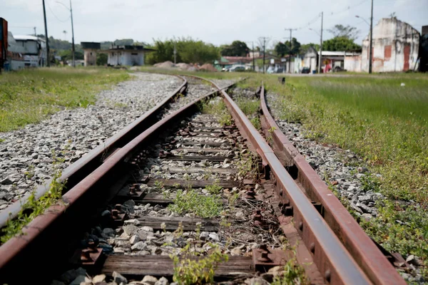 Mata Sao Joao Bahia Brazil October 2020 Train Tracks Seen — Stock Photo, Image