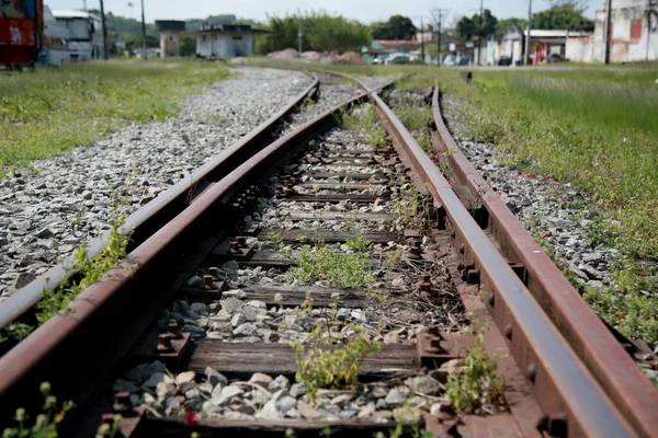 Mata Sao Joao Bahia Brazil October 2020 Train Tracks Seen — Stock Photo, Image