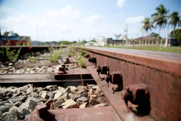 Mata Sao Joao Bahia Brazil October 2020 Train Tracks Seen — Stock Photo, Image