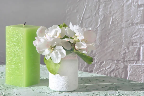 Зелена Свічка Квіти Яблуні Фоні Світлої Текстури Фокусом Розмиттям — стокове фото