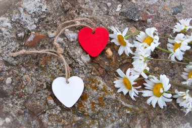 Beyaz, kırmızı kalpler ve bulanık arka planda beyaz papatyalar.