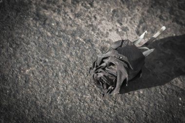 Bulanık desenli fotoğraf arkaplanında kurumuş gül ve colo olmadan vignette