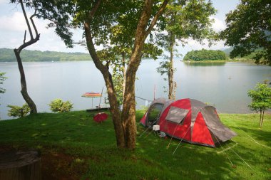 Doğa manzarası kırmızı kamp çadırı ve yeşil çimen çayırındaki ağacın altındaki renkli şemsiye ya da gölü ya da nehri olan park ve aile tatilinde piknik yapmak ve dinlenmek için ağaç dağı ormanı.