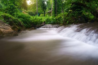 Yaz tatili için yeşil ormandaki ağaçlarla dere ve şelalede kamp çadırı ve şelale. Yürüyüş, çayırda piknik ve ulusal parktaki Kroeng Krawia 'da çim.