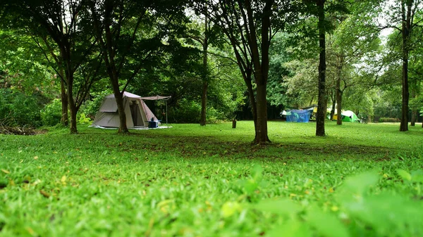 緑の芝生の牧草地で木や冒険トレッキングの下で自然景観キャンプテントやジャングルや森林国立公園の滝休日の家族の休暇のピクニックのためのリラックスした旅行や雨季 — ストック写真