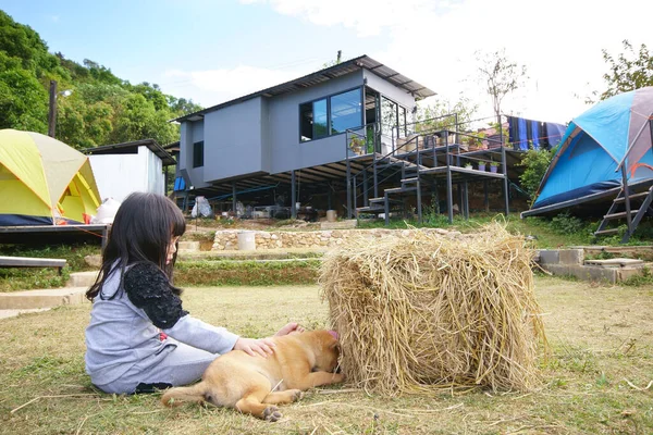 Niño Asiático Feliz Niña Jugando Perro Mascota Camping Césped Hierba — Foto de Stock