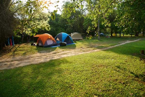 Naturaleza Paisaje Camping Tienda Bajo Gran Árbol Prado Hierba Verde — Foto de Stock