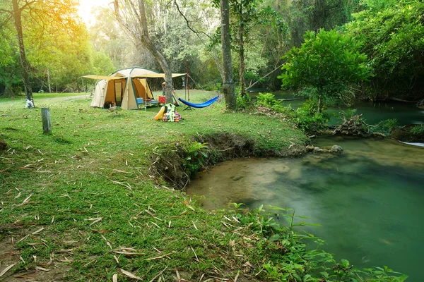 Tienda Campaña Arroyo Cascada Con Árbol Selva Verde Bosque Para — Foto de Stock