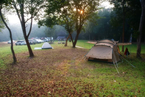 緑の芝生の牧草地に木がある自然景観キャンプテントやジャングルの霧で休日にピクニックをトレッキングリラックスして秋の冬や夏に休暇旅行潘Krangキャンプで暖かい日差し — ストック写真