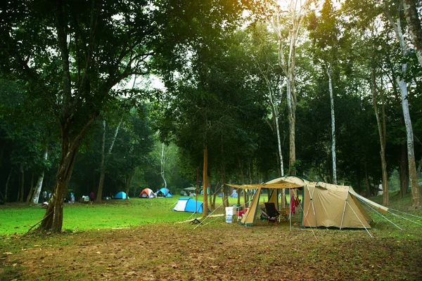 ジャングルの緑の芝生の牧草地に木がある自然景観キャンプテントや休日にピクニックをトレッキングするための森リラックスし 暖かい日差しで秋の冬や夏に休暇旅行潘Krangキャンプ — ストック写真