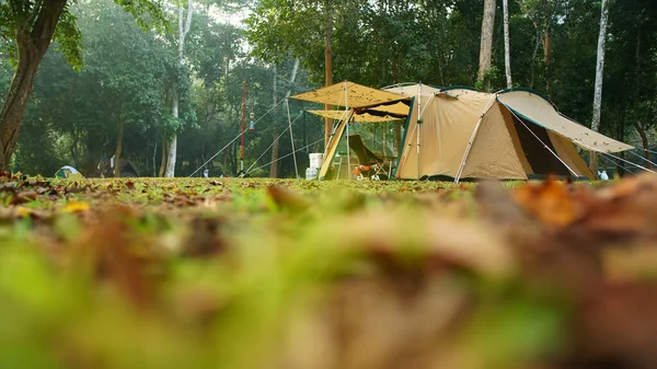 緑の芝生の上の木で自然景観キャンプテントジャングルや森の中の緑の芝生の牧草地休日にピクニックをトレッキングリラックスし 秋の冬や夏に霧と休暇旅行潘Krangキャンプ — ストック写真