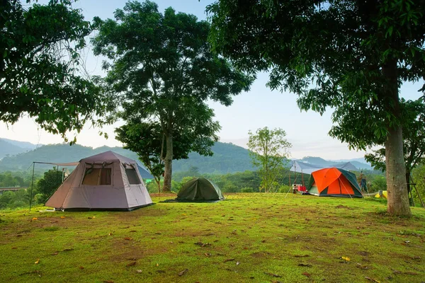 Natur Landskap Camping Tält Med Träd Grönt Gräs Äng Och — Stockfoto