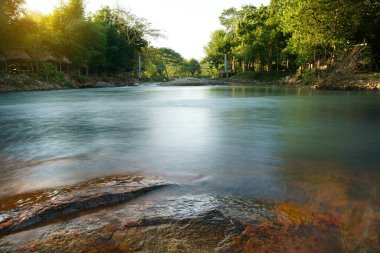 Nehir, ağaç, kaya ya da taş ve kır evi, yeşil orman ya da ormandaki köprü, yaz ya da kış tatili için sıcak güneş ışığı, dinlenme ve Ulusal Park 'ta tatil seyahati.