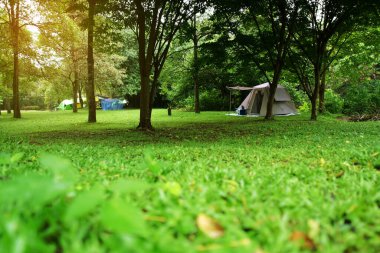 Doğal manzara çadırı, yeşil çimen çayırları ve şelalenin altında. Ormanda ya da Ulusal Park 'ta tatilde aile pikniği için. Seyahat ve yağmur mevsiminde sıcak güneş ışığı.