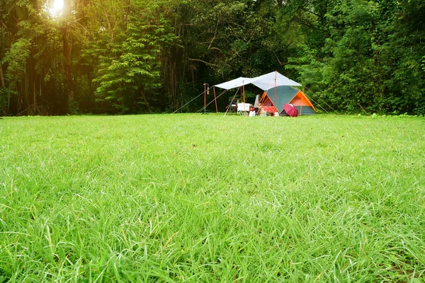 Natura Krajobraz Namiot Kemping Plandeką Lub Flysheet Pod Drzewem Zielonej — Zdjęcie stockowe