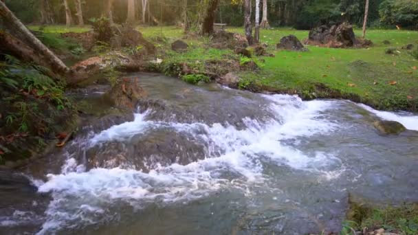 Córrego Com Cachoeira Água Verde Esmeralda Clara Rocha Para Relaxar — Vídeo de Stock