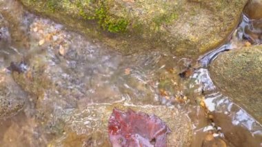 Yaz tatili için yeşil ormanda kaya ya da taşla temiz dere ve şelale 4K üzerindeki Khao Laem Ulusal Parkı 'nda doğa ve macera yolculuğu için dinlenin.