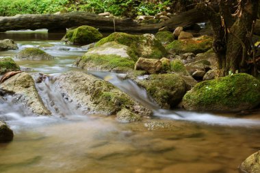 Khao Laem Ulusal Parkı 'nda yaz tatili için orman ya da ormanda kaya ya da taş ve kereste ile dere ve şelale.