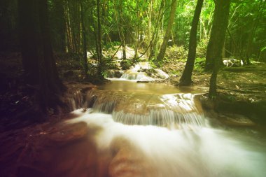 Temiz yeşil zümrüt suyu ve dinlenmek için kayayla birlikte şelalenin ön tarafında Pha Tat Şelalesi 'ndeki ormanda ya da ormanda serinletici bir serinlik var.