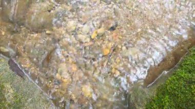 Yaz tatili için sarı yapraklı orman ya da yeşil ormanda kaya ya da taşlı dere ya da şelale dinlenme ve sonbahar, Khao Laem Ulusal Parkı 'nda yavaş bir yolculuk.