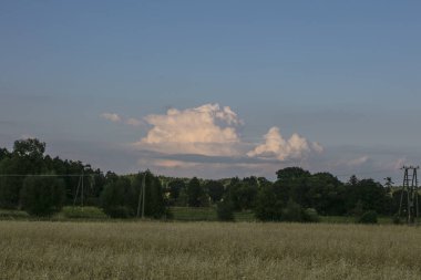 ilginç bulutlar gökyüzünde, asmak yüksek ağaçlara