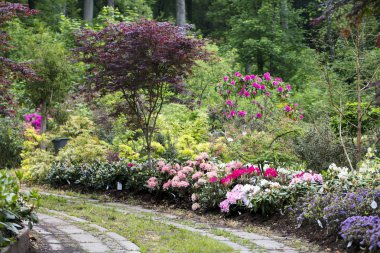 bahçedeki çiçekler, güzel görünüm arasında yol