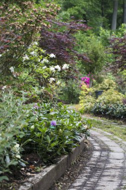 bahçedeki çiçekler arasında yol