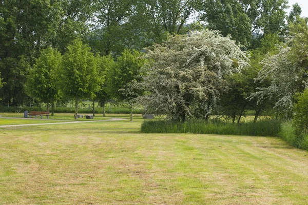 Schön Gemähtes Gras Park — Stockfoto