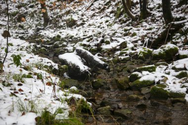 küçük bir nehir kış, kar