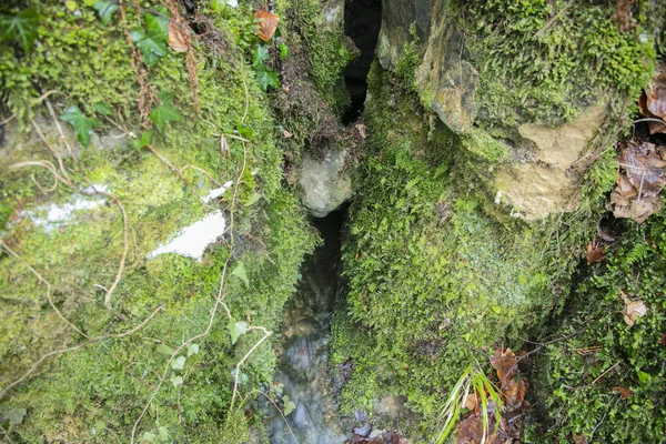 Ghiacciolo tra pietre, muschio verde — Foto Stock