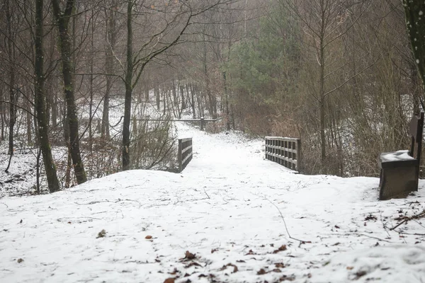 Path through a bridge covered with snow — Stock Photo, Image