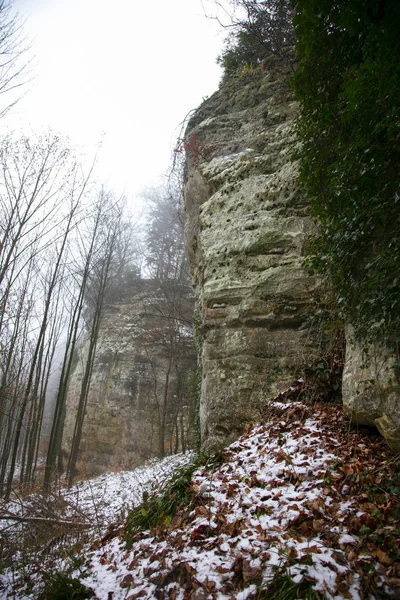 Felsen und Blätter, Winterlandschaft — Stockfoto