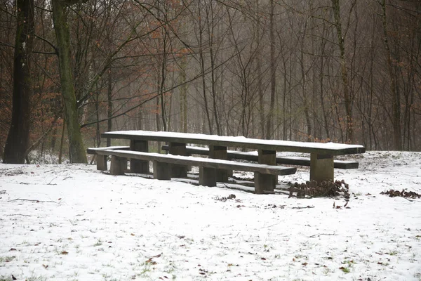 A bench in the park covered with a layer of snow — Stock Photo, Image