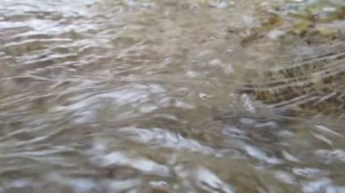 Nehrin üzerinde görüntülemek için yakın çekim