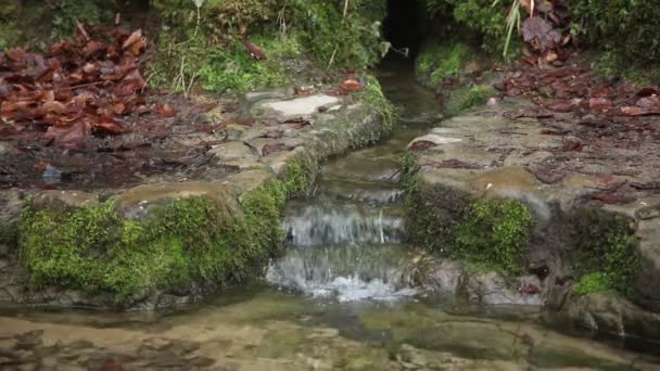 Entrar Agua Depósito Agua Natural — Vídeos de Stock