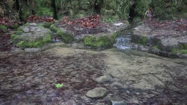 Entrar Agua Depósito Agua Natural — Vídeos de Stock