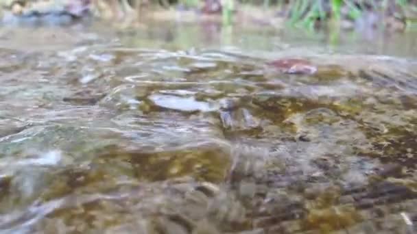 Wasser Sprühen Aus Nächster Nähe — Stockvideo