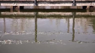 rüzgarda su hareketi yakın çekim