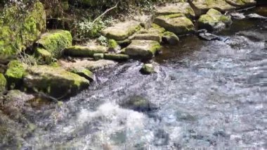 taşların yanında akan suya yakın çekim