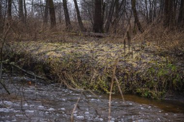 nehrin diğer tarafında,