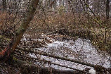 nehir üzerinde yapılan kunduz baraj, ön görünüm