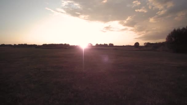 夕日に向かって牧草地上のドローン飛行 カメラの回転 — ストック動画