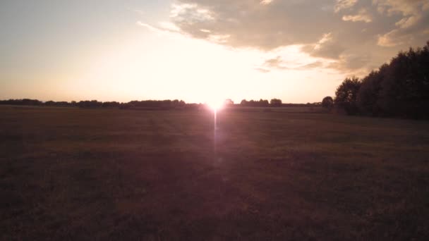 Drohnenflug Über Die Weide Richtung Sonnenuntergang — Stockvideo