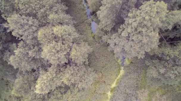 Langsamflug Drohne Auf Dem Flusskanal Blick Von Oben — Stockvideo