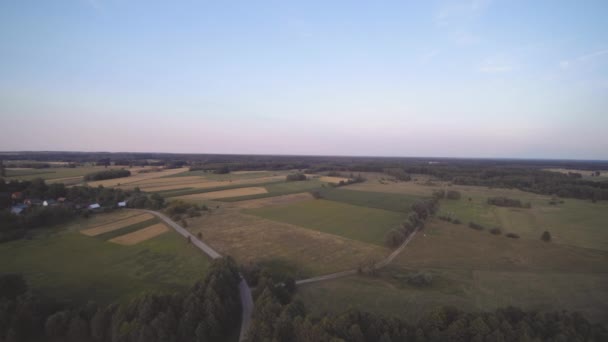 Dron Vuela Sobre Los Campos Verdes — Vídeo de stock