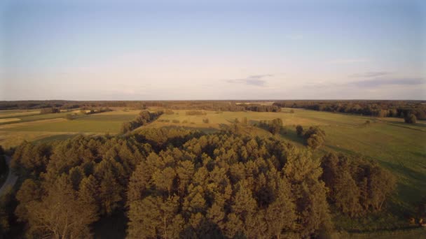 Video Van Een Drone Lucht Een Landschap Van Bomen Weiden — Stockvideo