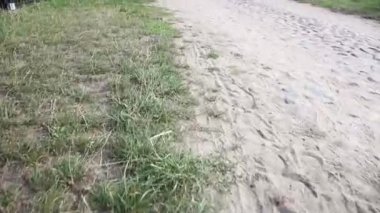 bir taş yol ve yeşil kuşak kaydı