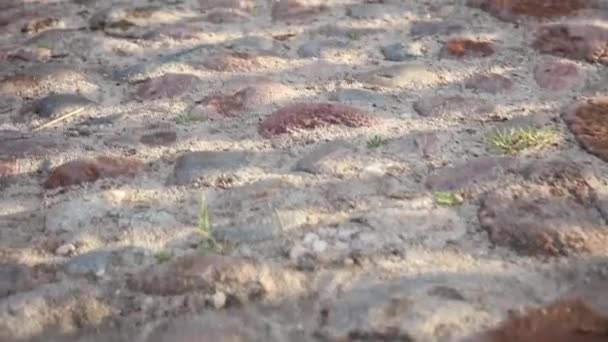 Paved Road Covered Colorful Large Stones — Stock Video