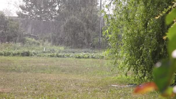 Pioggia Registrata Durante Una Giornata Sole Orto Sullo Sfondo — Video Stock