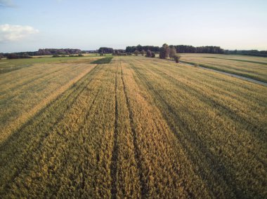 yukarıdan görülen ekilebilir alanlar, agricultur